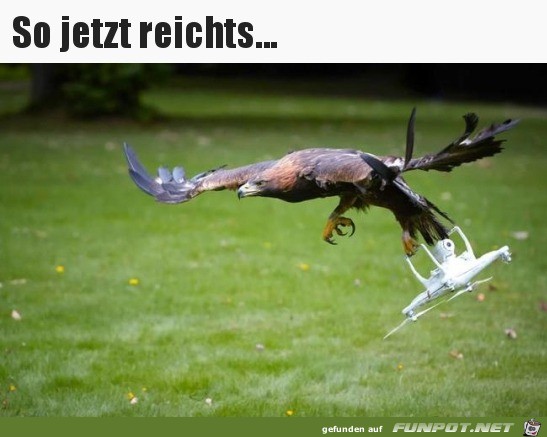 Jetzt ist gut Jetzt ist gut