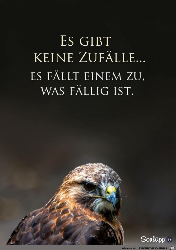 es gibt keine zufaelle es gibt keine zufaelle