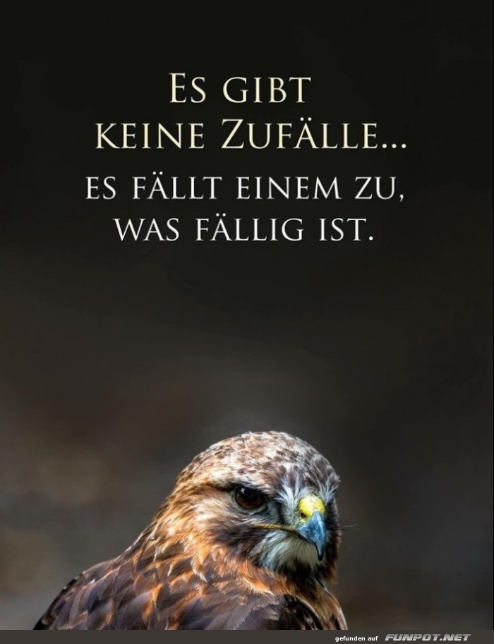 10 sch�ne Spr�che und Lebensweisheiten aus...