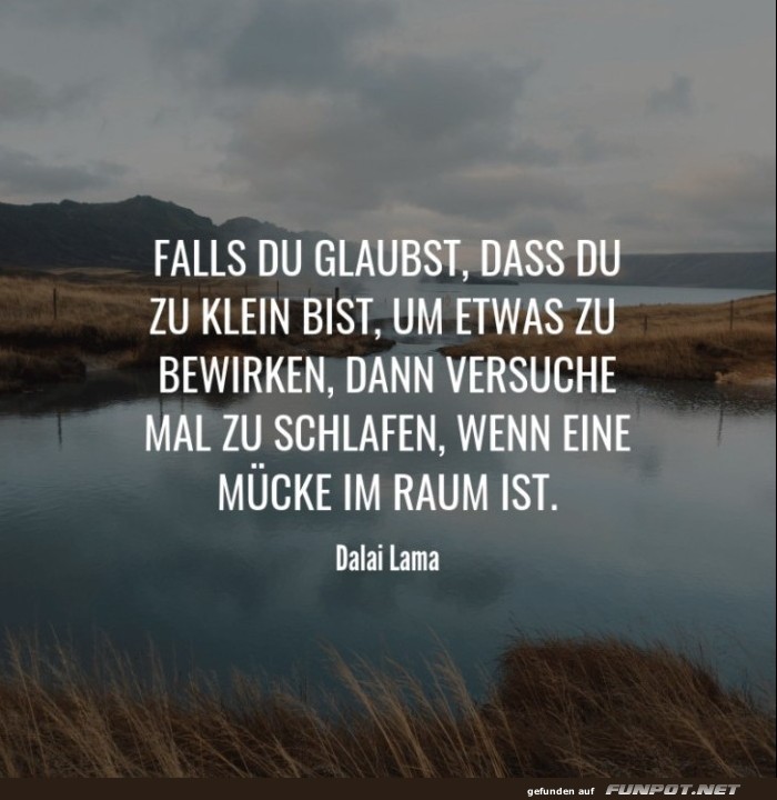 10 sch�ne Spr�che und Lebensweisheiten aus...
