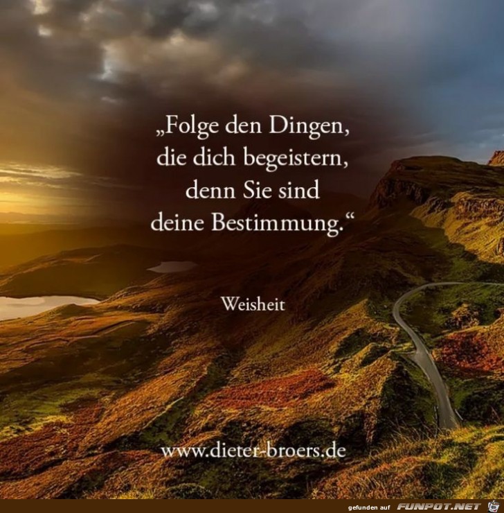 folge den dingen folge den dingen