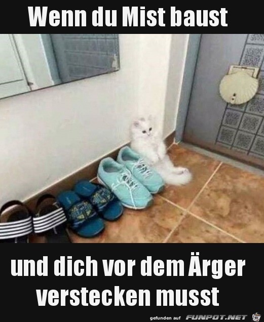 Schlechtes Gewissen Schlechtes Gewissen