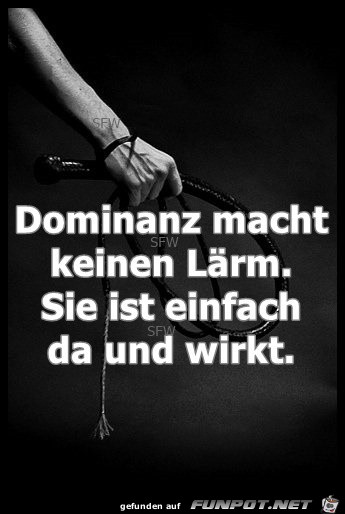 Dominanz macht