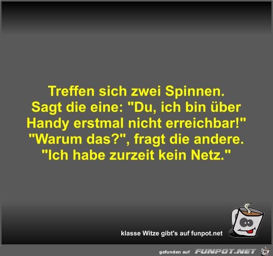 Treffen sich zwei Spinnen Treffen sich zwei Spinnen
