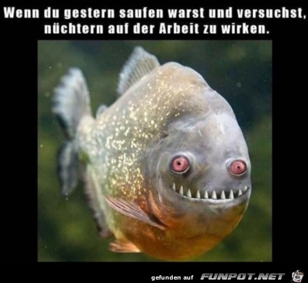Wie unauffällig Wie unauffällig