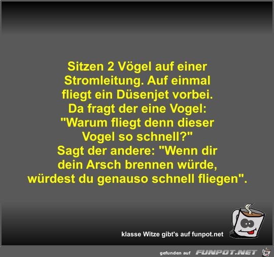 Sitzen 2 Vögel auf einer Stromleitung Sitzen 2 Vögel auf einer Stromleitung