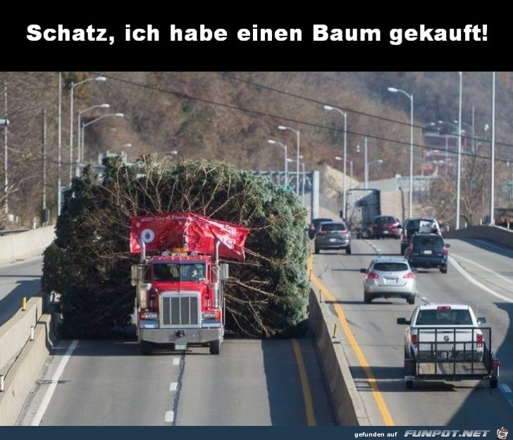 Weihnachten kann kommen