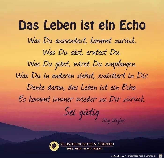 das Leben ist ein echo