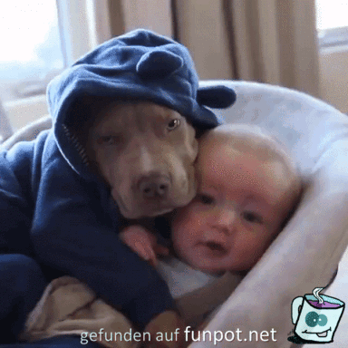 Freunde Freunde