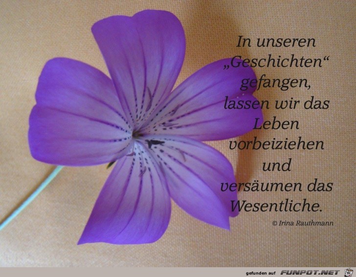 In unseren Geschichten In unseren Geschichten