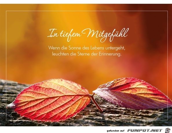 in tiefem Mitgefuehl in tiefem Mitgefuehl