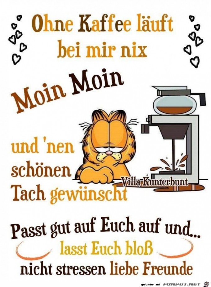 Moin Moin