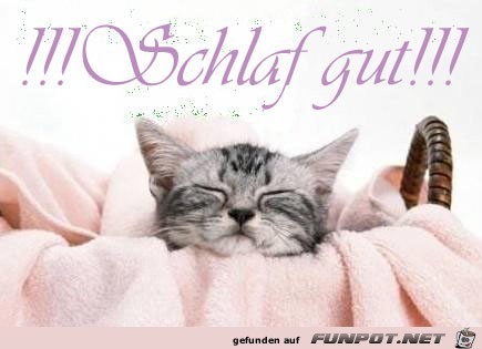 Schlaf gut Schlaf gut