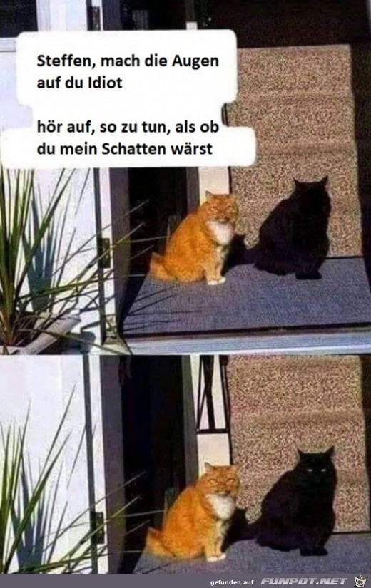 Mach die Augen auf Mach die Augen auf