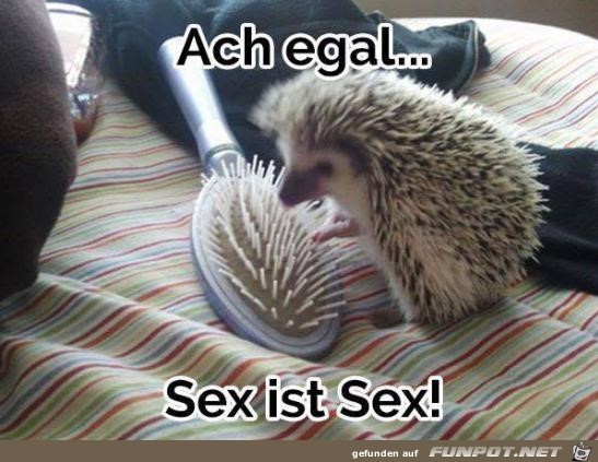 Ach egal Ach egal
