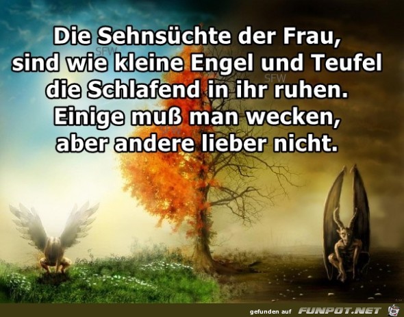 Die Sehnsuechte der Frau