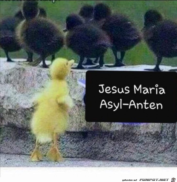 Jesus Maria Asyl-Anten
