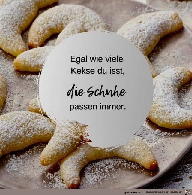 egal wie viele Kekse egal wie viele Kekse