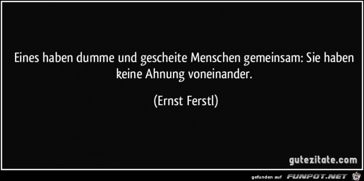 eines haben dumme und gescheite menschen gemeinsam eines haben dumme und gescheite menschen gemeinsam
