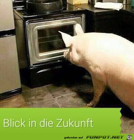 blick in die Zukunft blick in die Zukunft