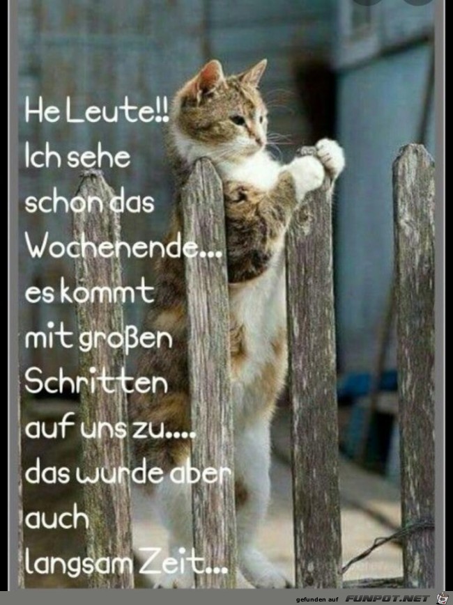 he Leute he Leute
