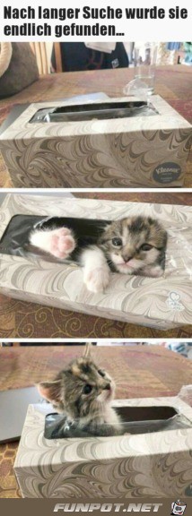 Super Versteck Super Versteck