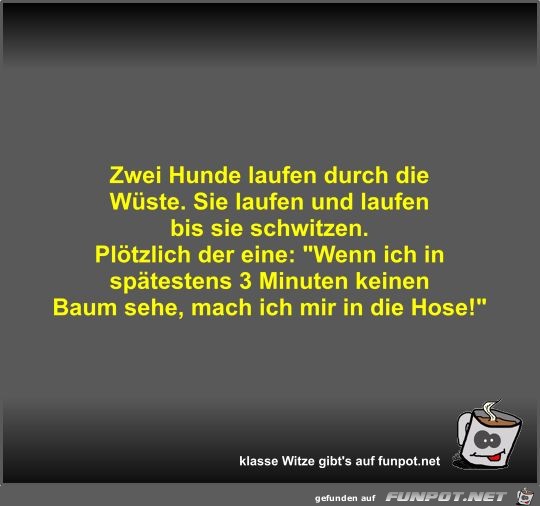 Zwei Hunde laufen durch die Wste