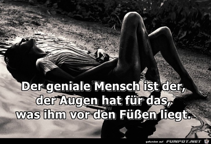 Der geniale Mensch Der geniale Mensch