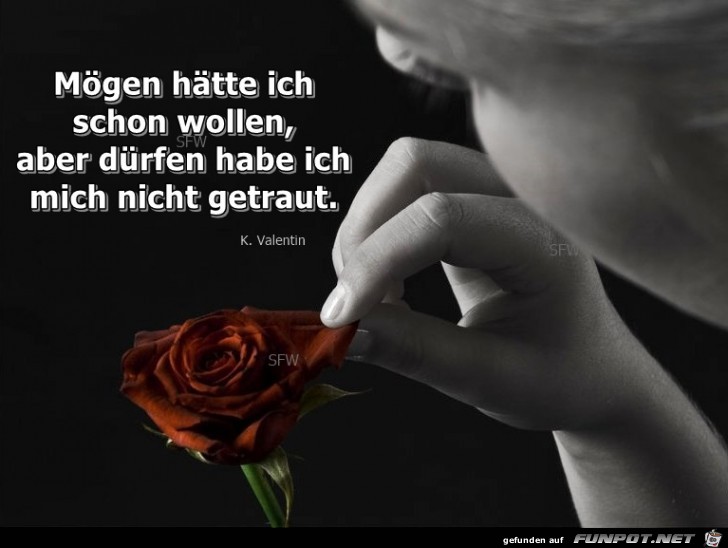 Moegen haette ich schon Moegen haette ich schon