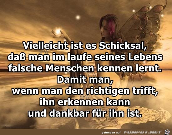 Vielleicht ist es Schicksal