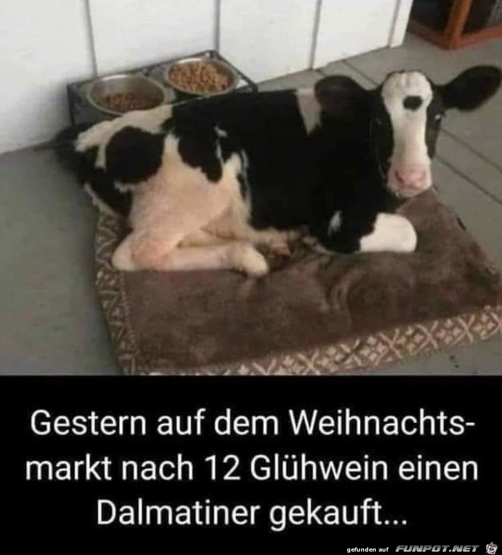 Gestern auf dem Weihnachtsmarkt Gestern auf dem Weihnachtsmarkt