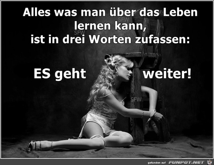 Alles was man ueber das Leben lernen Alles was man ueber das Leben lernen
