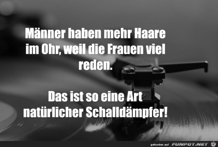 Frauen reden zu viel Frauen reden zu viel