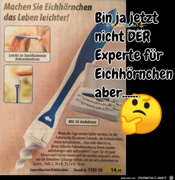 Eichhoernchen Eichhoernchen