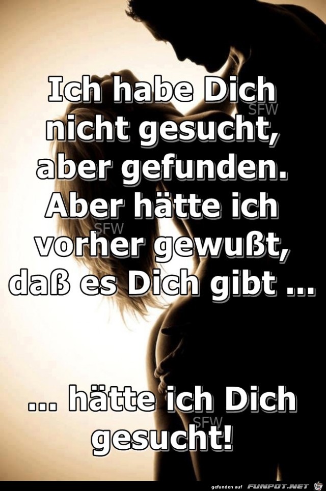 Ich habe dich nicht gesucht