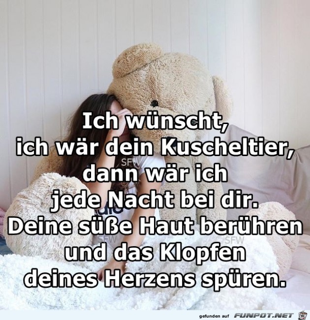 Ich wuenscht ich waer dein Kuscheltier