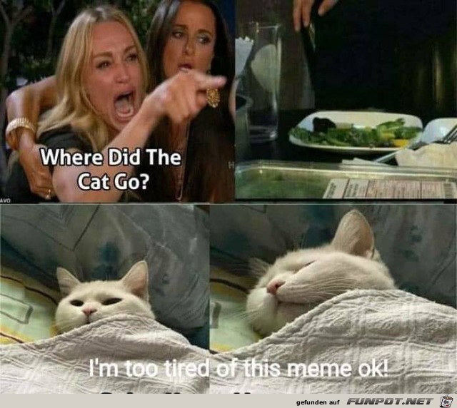 Lustige Katze Lustige Katze