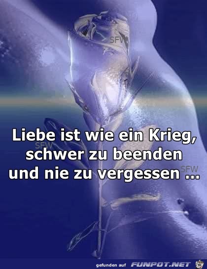 Liebe ist wie ein Krieg