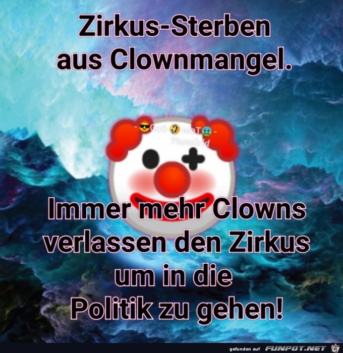 Cirkus BRDcalli Cirkus BRDcalli