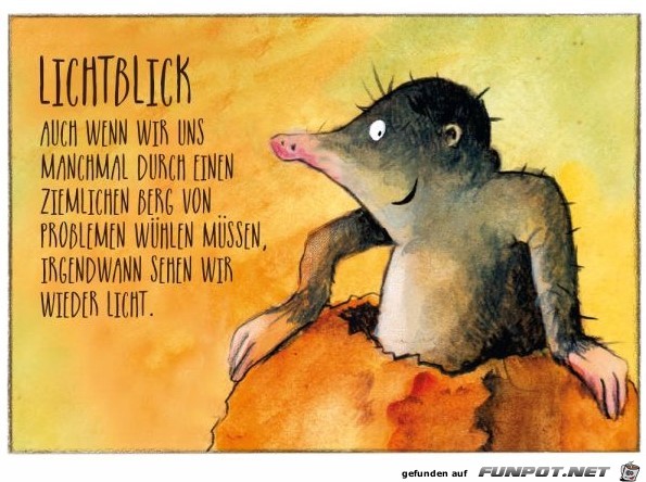 Lichtblick Lichtblick
