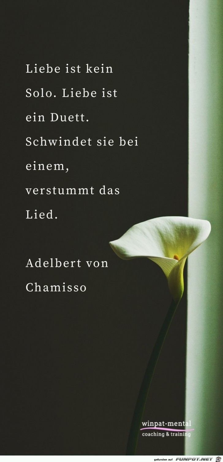 Liebe ist kein solo Liebe ist kein solo