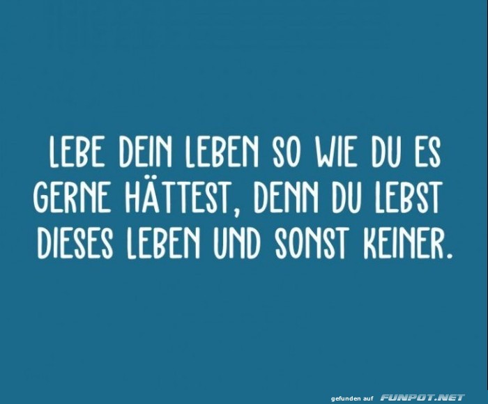 10 sch�ne Spr�che und Lebensweisheiten aus...