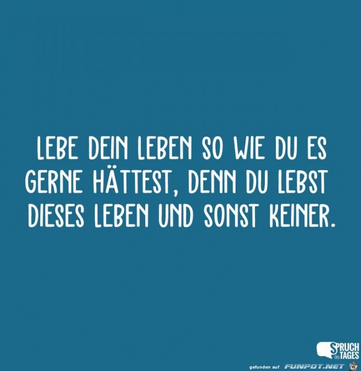 lebe dein Leben lebe dein Leben