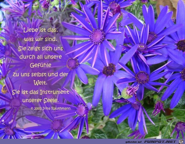 liebe ist das