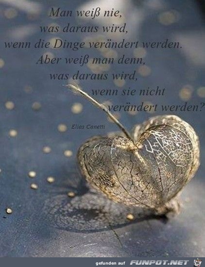 man weiss nie man weiss nie
