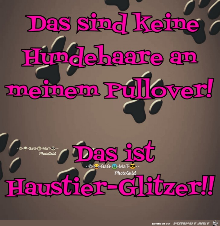 Haustier-Glitzer