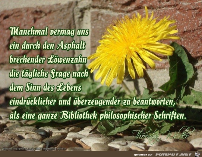 manchmal vermag uns manchmal vermag uns