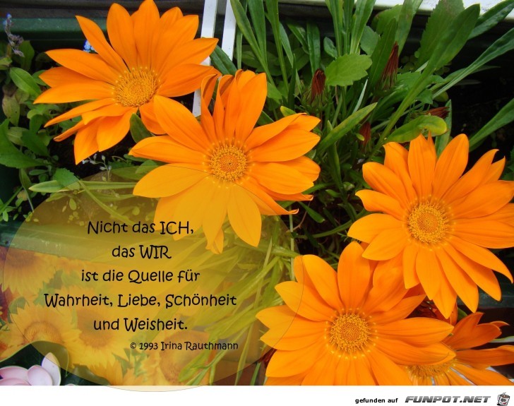 nicht das ICH nicht das ICH