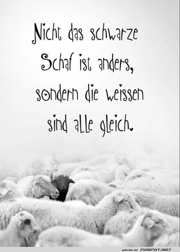 10 sch�ne Spr�che und Lebensweisheiten aus...