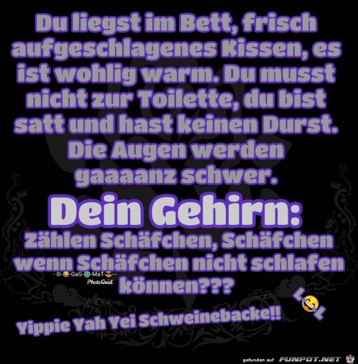 Gute Nacht Gute Nacht
